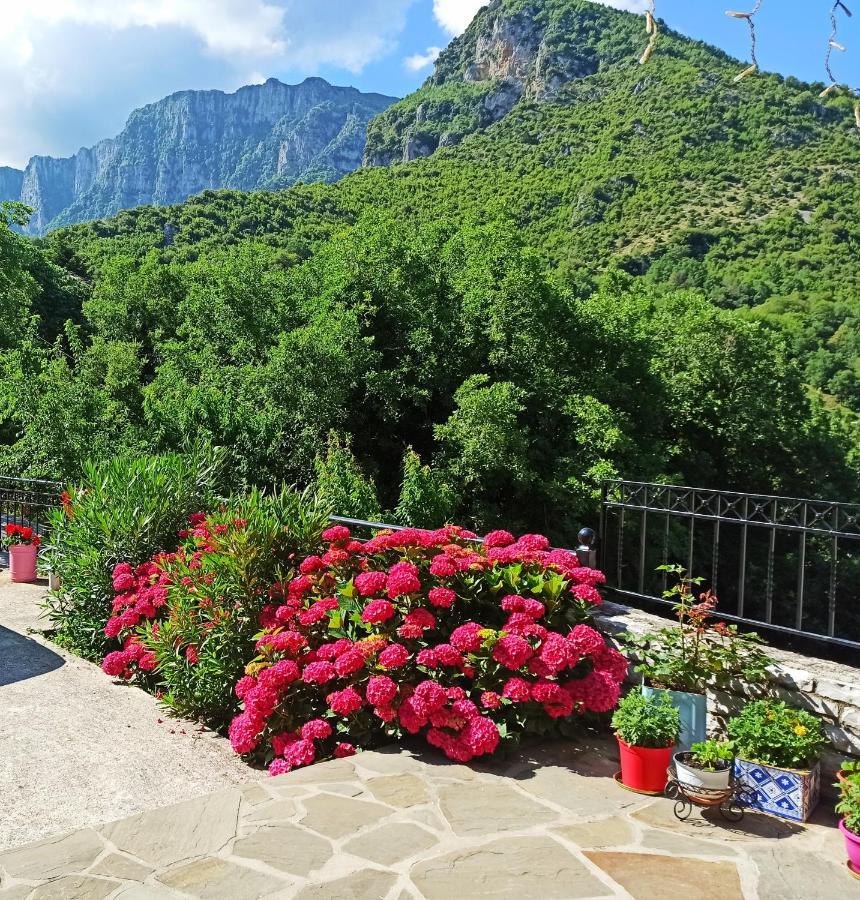 Foris House Ξενοδοχείο Βίκος Εξωτερικό φωτογραφία